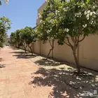 فله بمساحه كبيره نموذج C2 صك حر