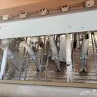 بذارة للبيع