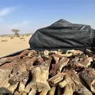 هايلكس للبيع شرط