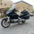 قولدوينق
