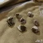 كلك نضر