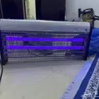 صاعق حشرات صيني