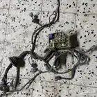 ضفيره ايكو