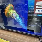 شاشه جديد بكرتونها