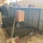 حضيرة طيور قفص كبير