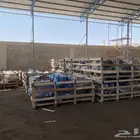 مكاين وقيرات جميع السيارات الياباني والكوري والامريكي