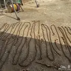 للبيع سلاسل