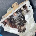 كارتير مكينه ماليبو 2013 سته سلندر