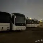 باصات تبوك