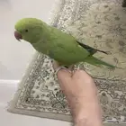 مكة المكرمة
