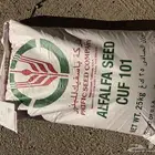 بذور برسيم باسفيك امريكي كاف 101 للبييع