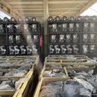 مكائن سيارات امريكية مضمونة - الرياض