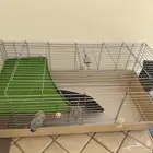 قفص cage