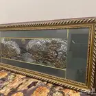 لوحات