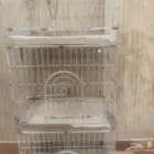 أقفاص قفص للطيور