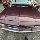 كابرس 89 عنابي