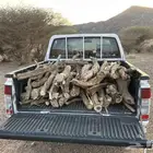 حطب س م ر مبروم مسحت ددسن