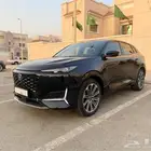 شانجان يوني كي 2023 على الضمان