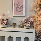 استقبال مولوده