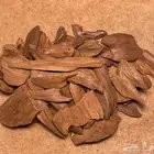 عود موروكي طبيعي اصقون دبل