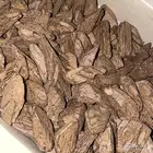 بخور عود موروكي