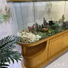 حوض سمك كبير والقزاز عالشرط ماشاءالله