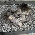 منقل حاتم الطي