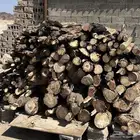 حطب للبيع