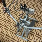 الغزال الطائر