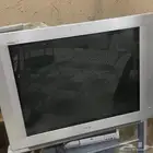 تلفزيون