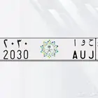 لوحة الرؤية مميزة ( ح و ا   2030 )