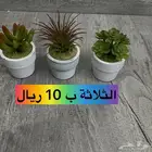 ورد صناعي وزرع صناعي من ايكيا للبيع