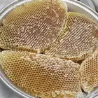 سدر وجال المع من مناحلي انا المسائل عن الجوده امام الله