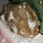 احجار غريببة للبيع على السوم