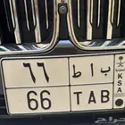 لوحة لوحه مميزة ثنائي 66 رقمين