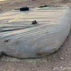 راوية ماء للبيع نظظيف