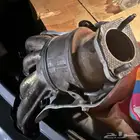 جيلي
