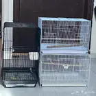 أقفاص طيور