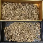 عود هندي كودي موري ملكي