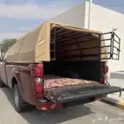 نقل و توصيل غنم و معزا