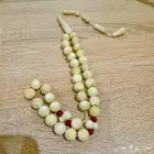 سبحة ناب الاسد مشروطه 200