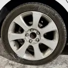 جنوط النترا