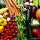 توصيل خضار طازجه يوميا للمتاجر والمطاعم