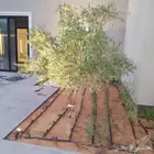 تنسيق حدائق