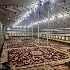 الصياهد رماح