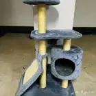 منزل قطط و وسادة قطط للبيع