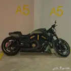 هارلي ديفدسون في رود 2013