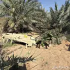 حصاده