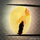 عقيق مصور