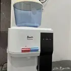 بيشة